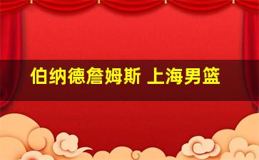 伯纳德詹姆斯 上海男篮